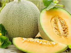 Bảo quản dưa lưới bằng than hoạt tính